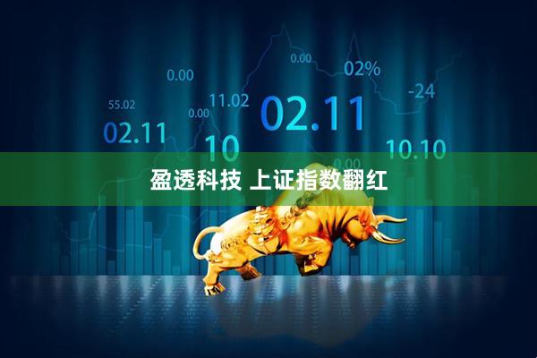 盈透科技 上证指数翻红