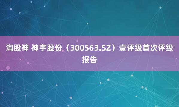 淘股神 神宇股份(300563.SZ)壹评级首次评级报告